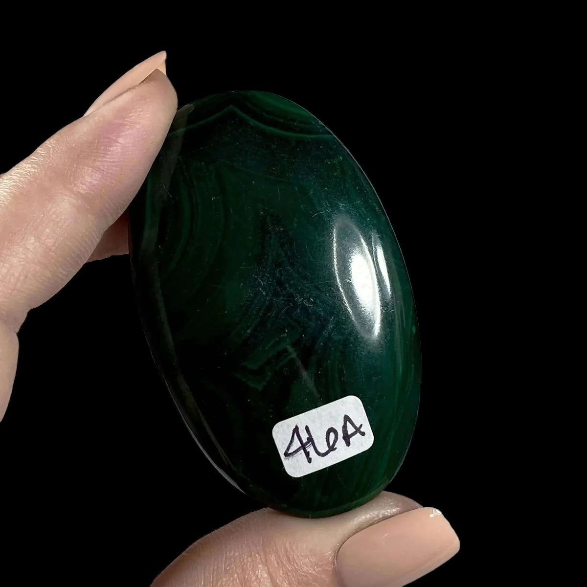 Malachite Palm Stone for Transformation and Confidence | Stock A Mooncat Crystals