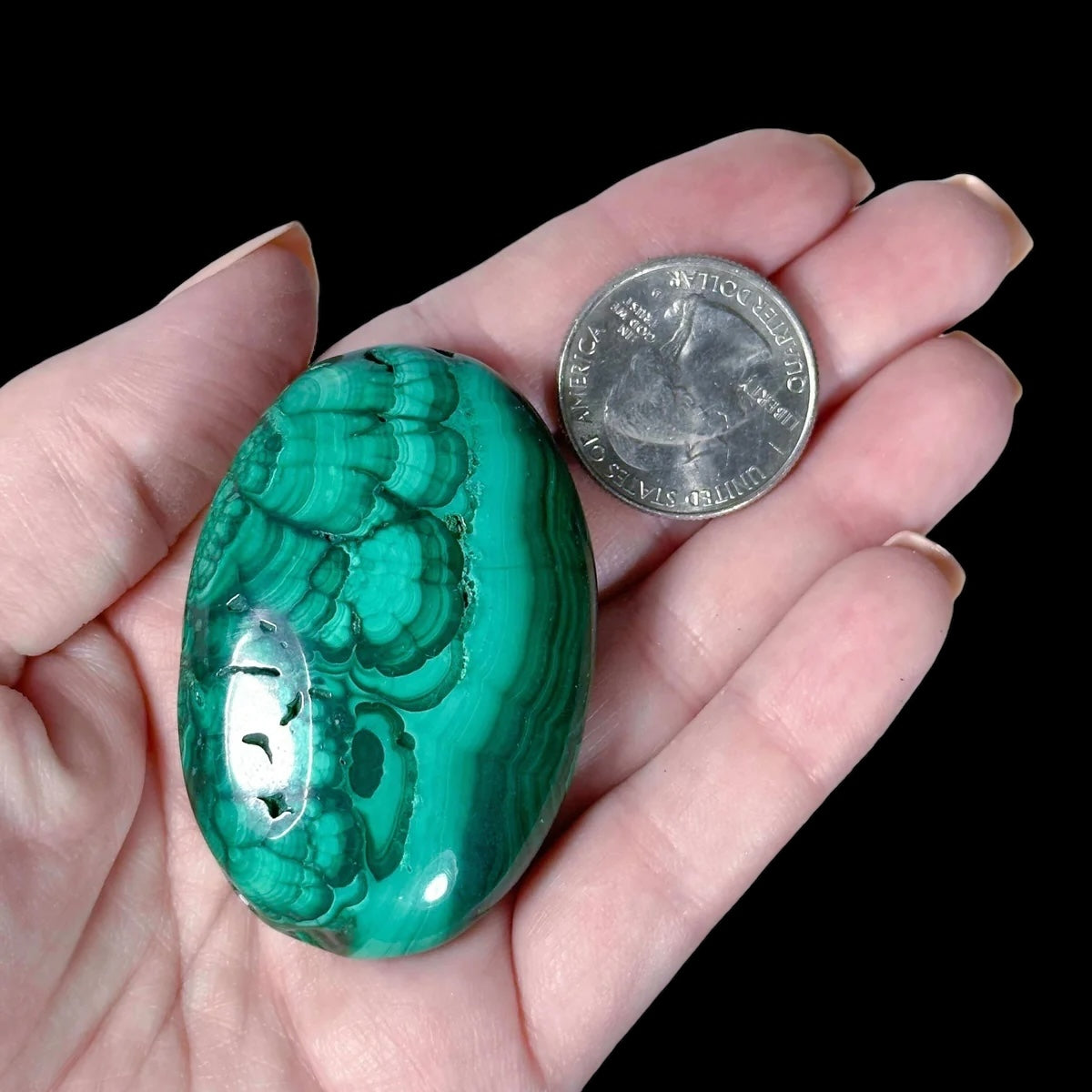 Malachite Palm Stone for Transformation and Confidence | Stock R Mooncat Crystals