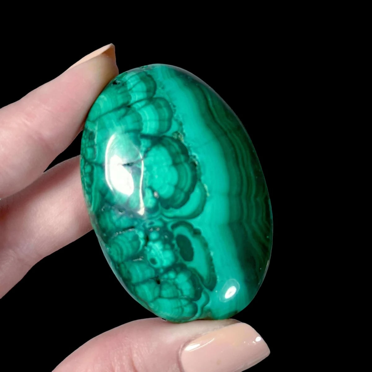 Malachite Palm Stone for Transformation and Confidence | Stock R Mooncat Crystals