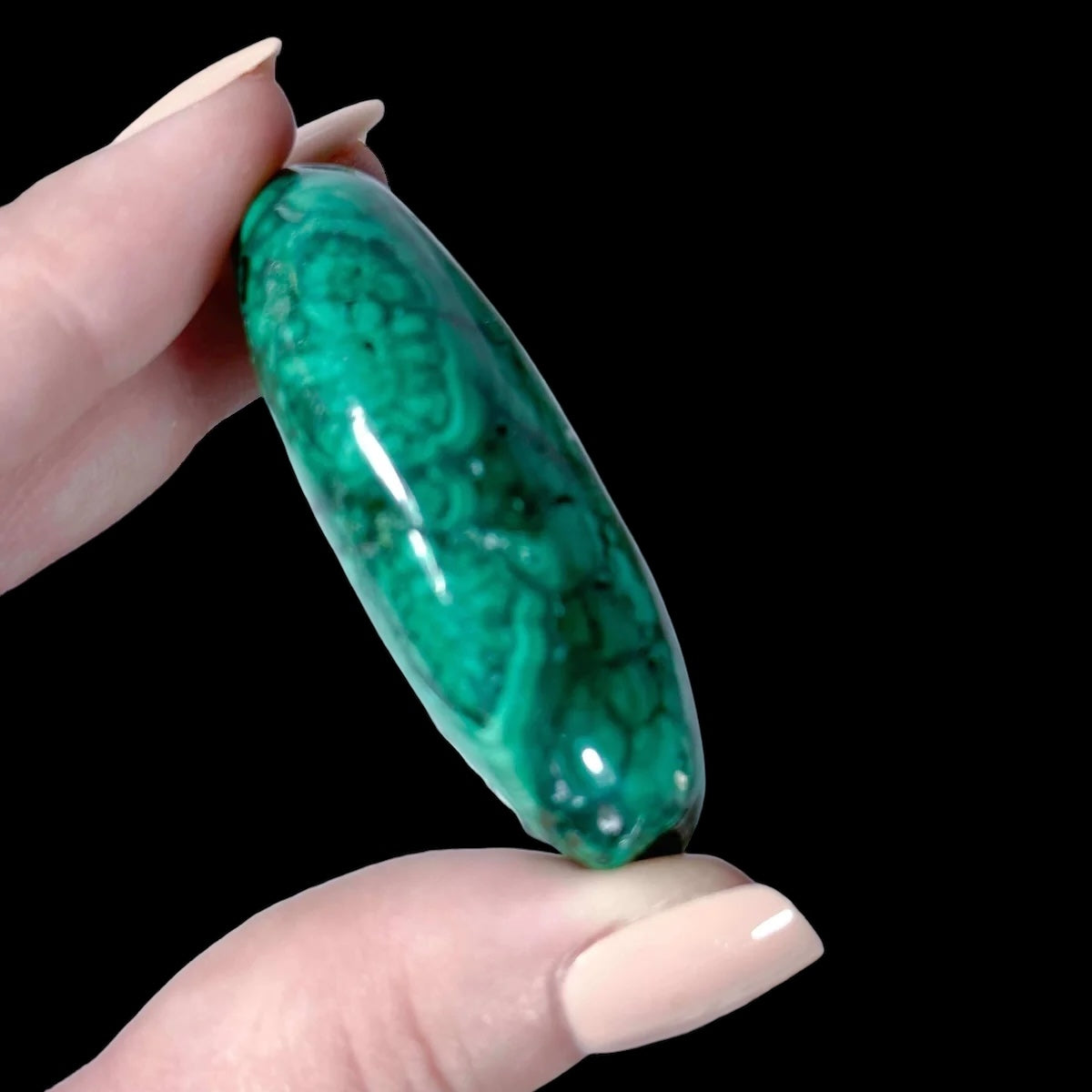 Malachite Palm Stone for Transformation and Confidence | Stock R Mooncat Crystals