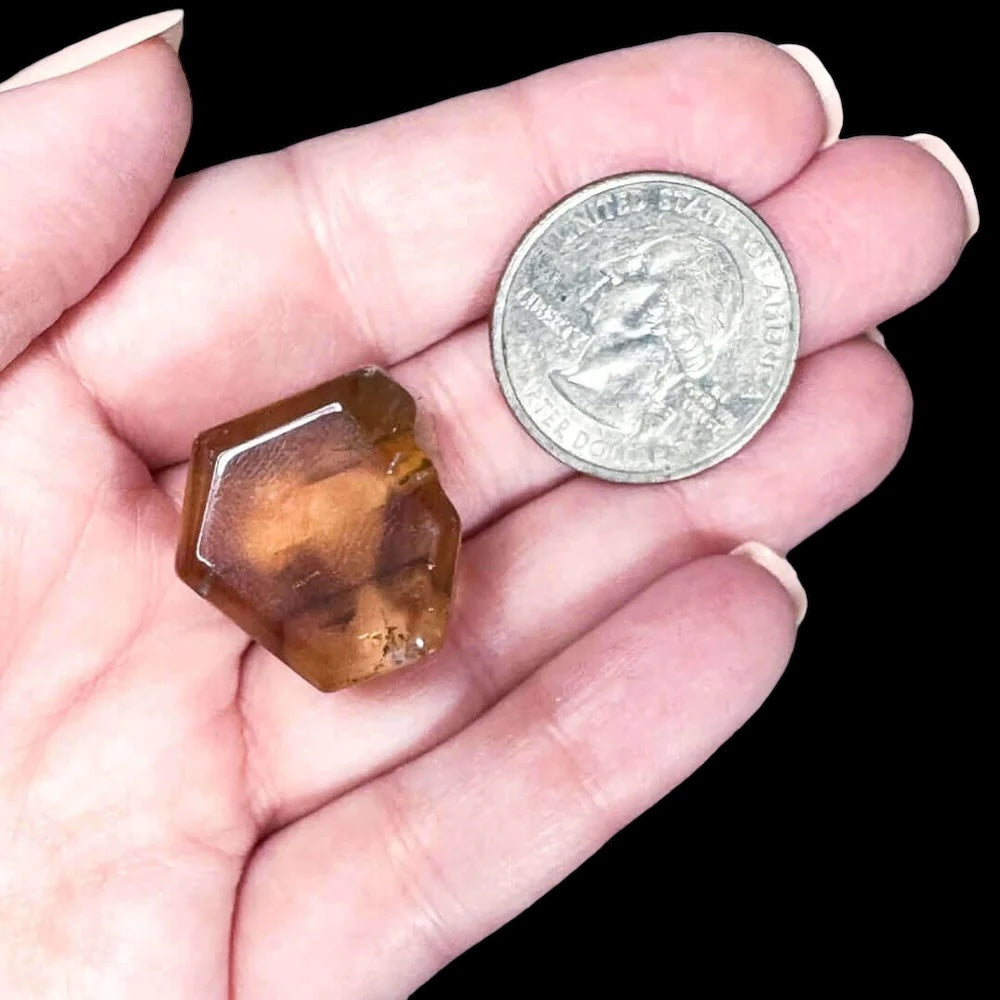 Natural African Citrine Slice for Wealth and Success | Stock C Mooncat Crystals