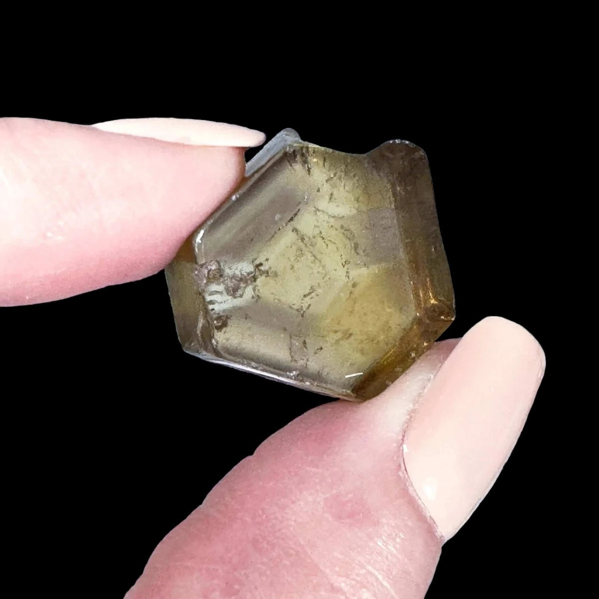 Natural African Citrine Slice for Wealth and Success | Stock D Mooncat Crystals