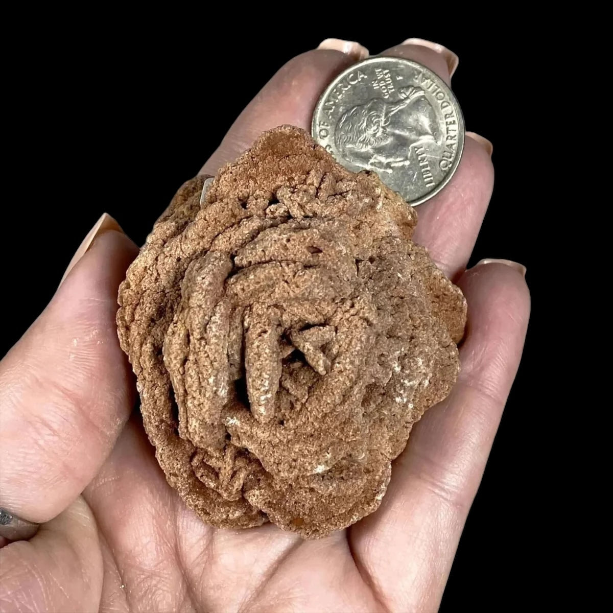 Oklahoma Barite Rose for Resilience and Strength | Stock A Mooncat Crystals