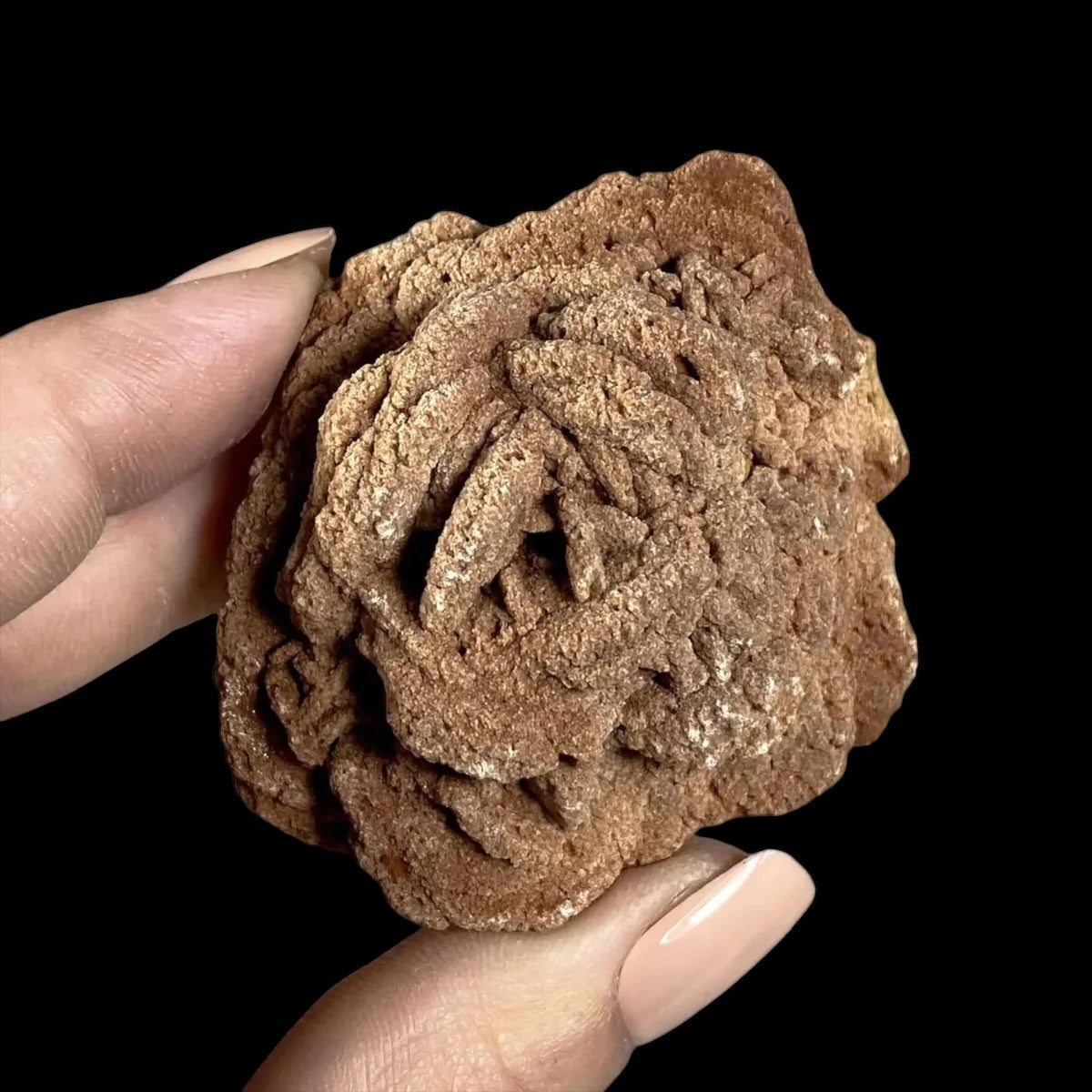 Oklahoma Barite Rose for Resilience and Strength | Stock A Mooncat Crystals