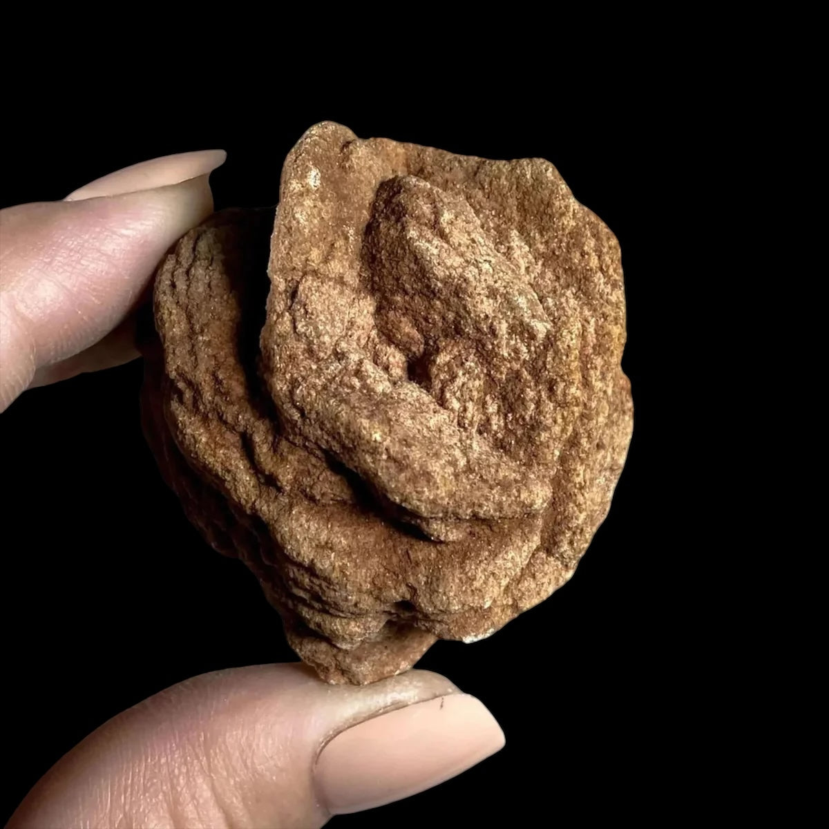 Oklahoma Barite Rose for Resilience and Strength | Stock D Mooncat Crystals