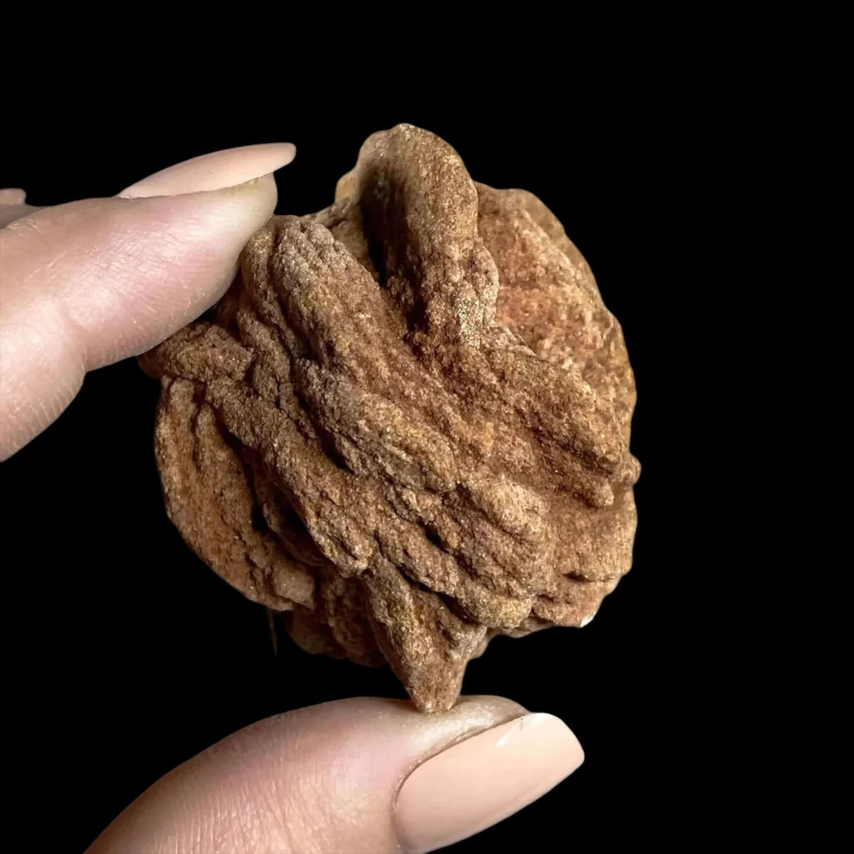 Oklahoma Barite Rose for Resilience and Strength | Stock D Mooncat Crystals