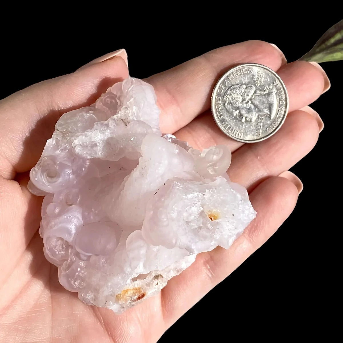 Pink Chalcedony for Nurturing and Emotional Healing | Stock D Mooncat Crystals