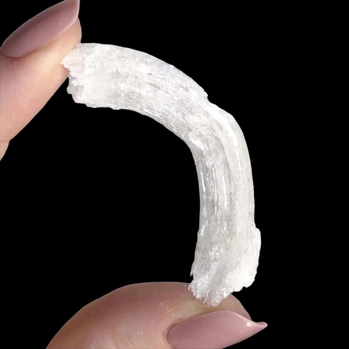 Ram's Horn Selenite for Transformation and Protection | Stock M Mooncat Crystals