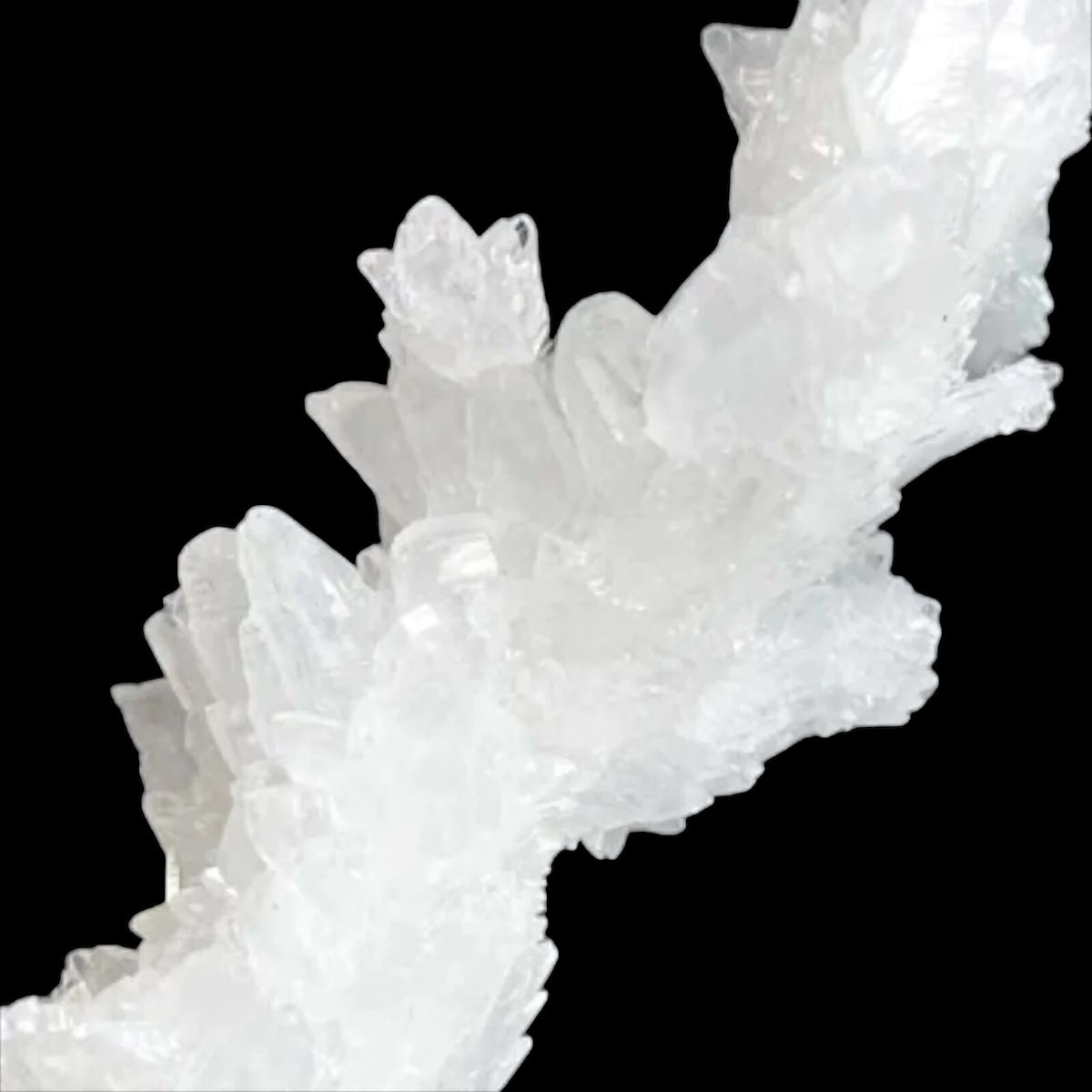 Rare Selenite Stalactite for Clarity and Wellbeing | Stock A Mooncat Crystals