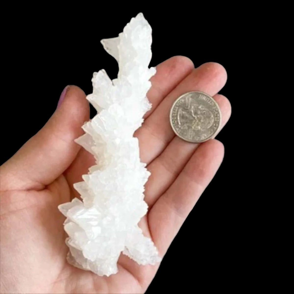 Rare Selenite Stalactite for Clarity and Wellbeing | Stock A Mooncat Crystals