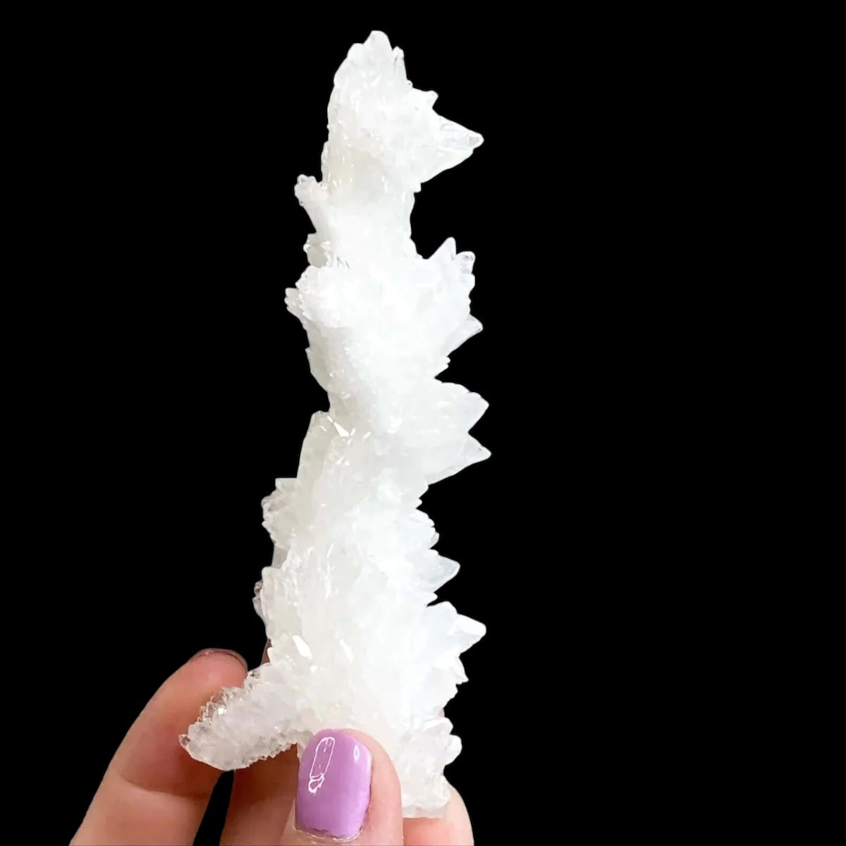 Rare Selenite Stalactite for Clarity and Wellbeing | Stock A Mooncat Crystals