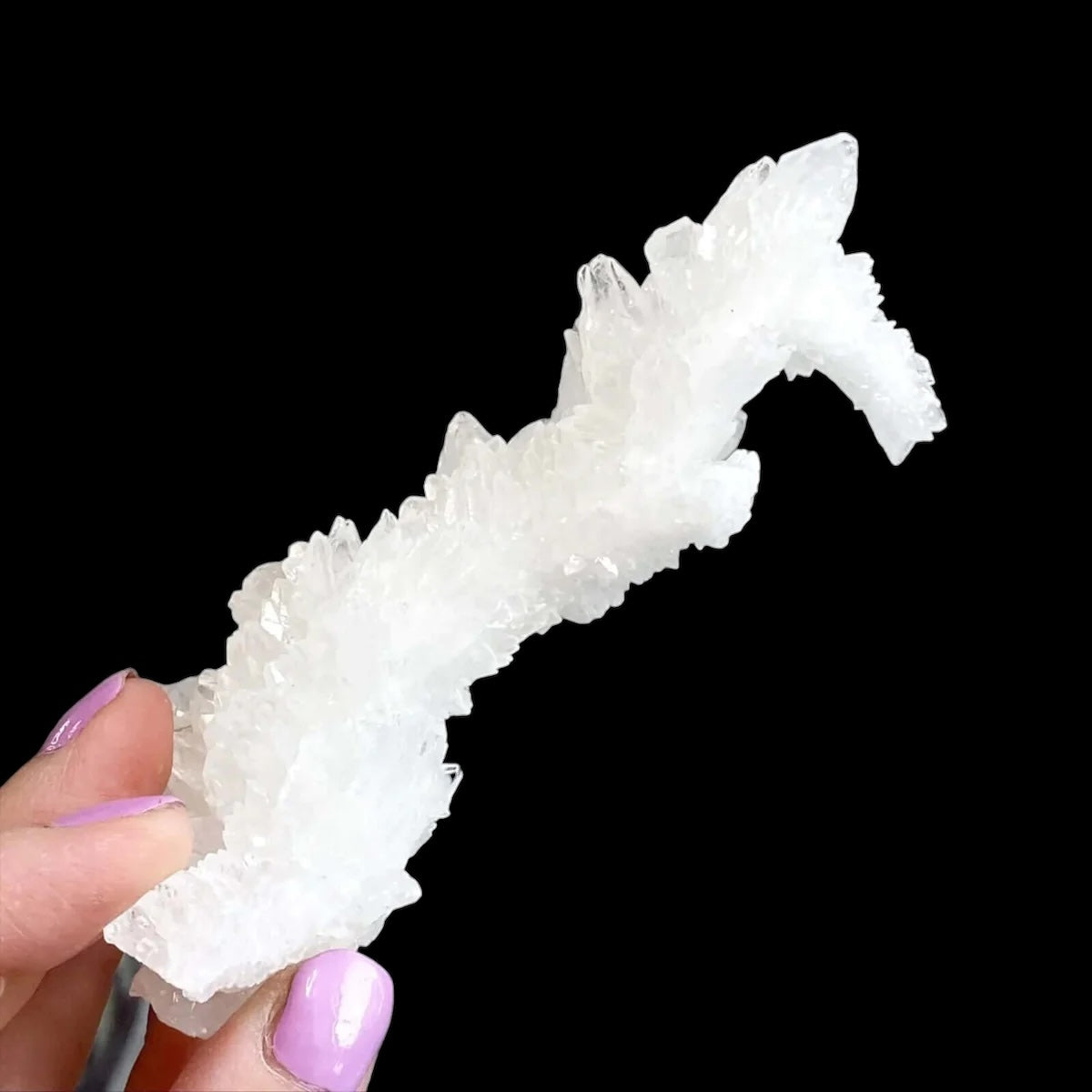 Rare Selenite Stalactite for Clarity and Wellbeing | Stock A Mooncat Crystals