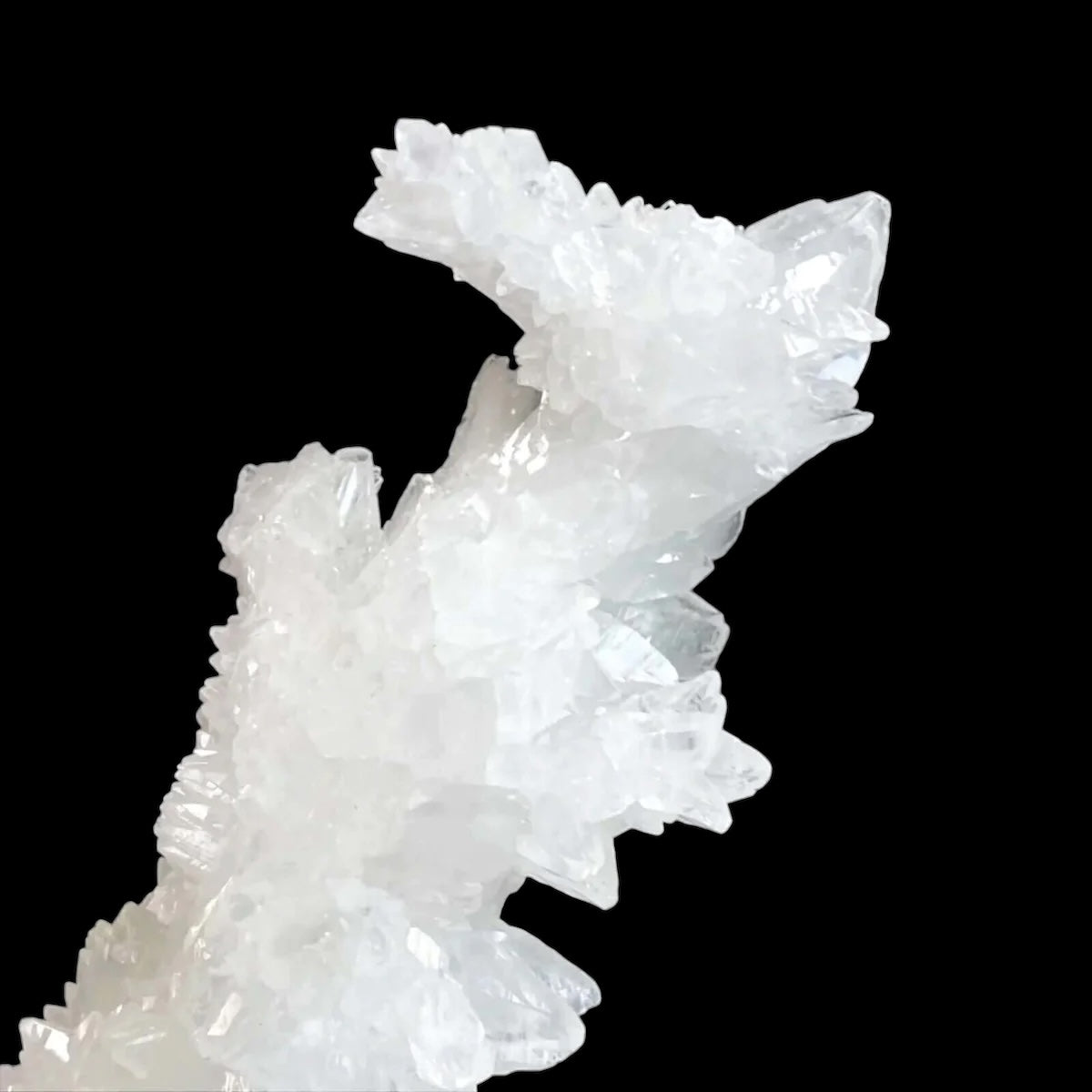 Rare Selenite Stalactite for Clarity and Wellbeing | Stock A Mooncat Crystals