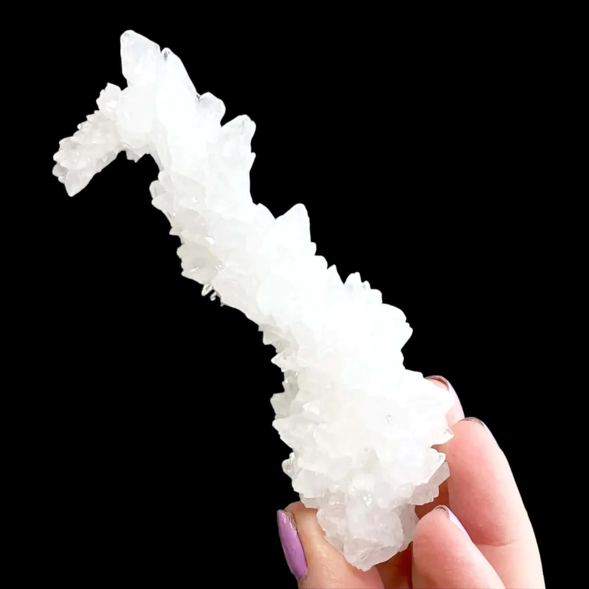 Rare Selenite Stalactite for Clarity and Wellbeing | Stock A Mooncat Crystals