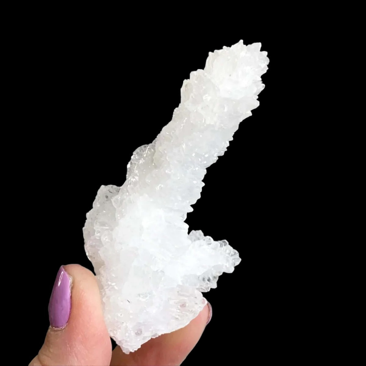 Rare Selenite Stalactite for Clarity and Wellbeing | Stock C Mooncat Crystals