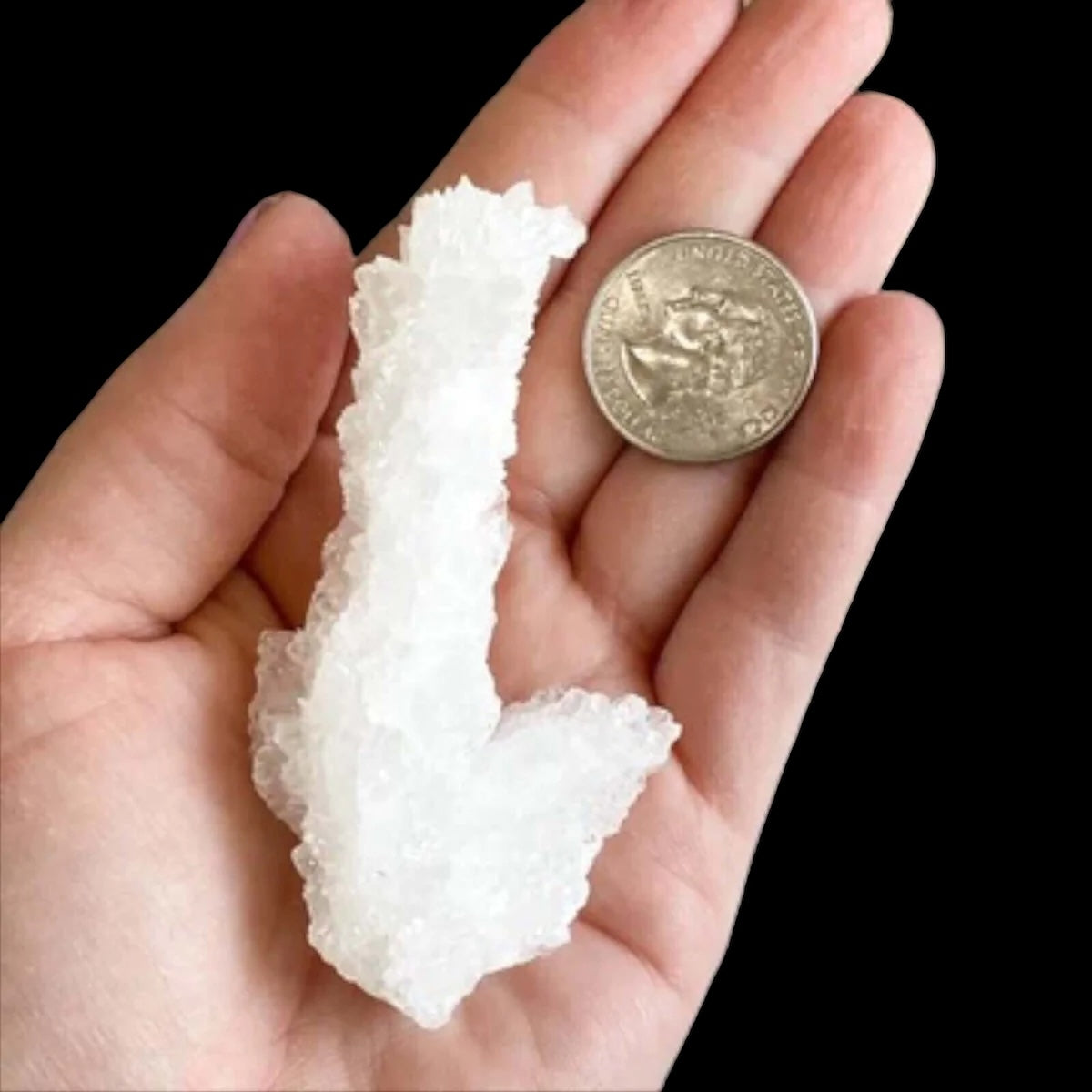 Rare Selenite Stalactite for Clarity and Wellbeing | Stock C Mooncat Crystals