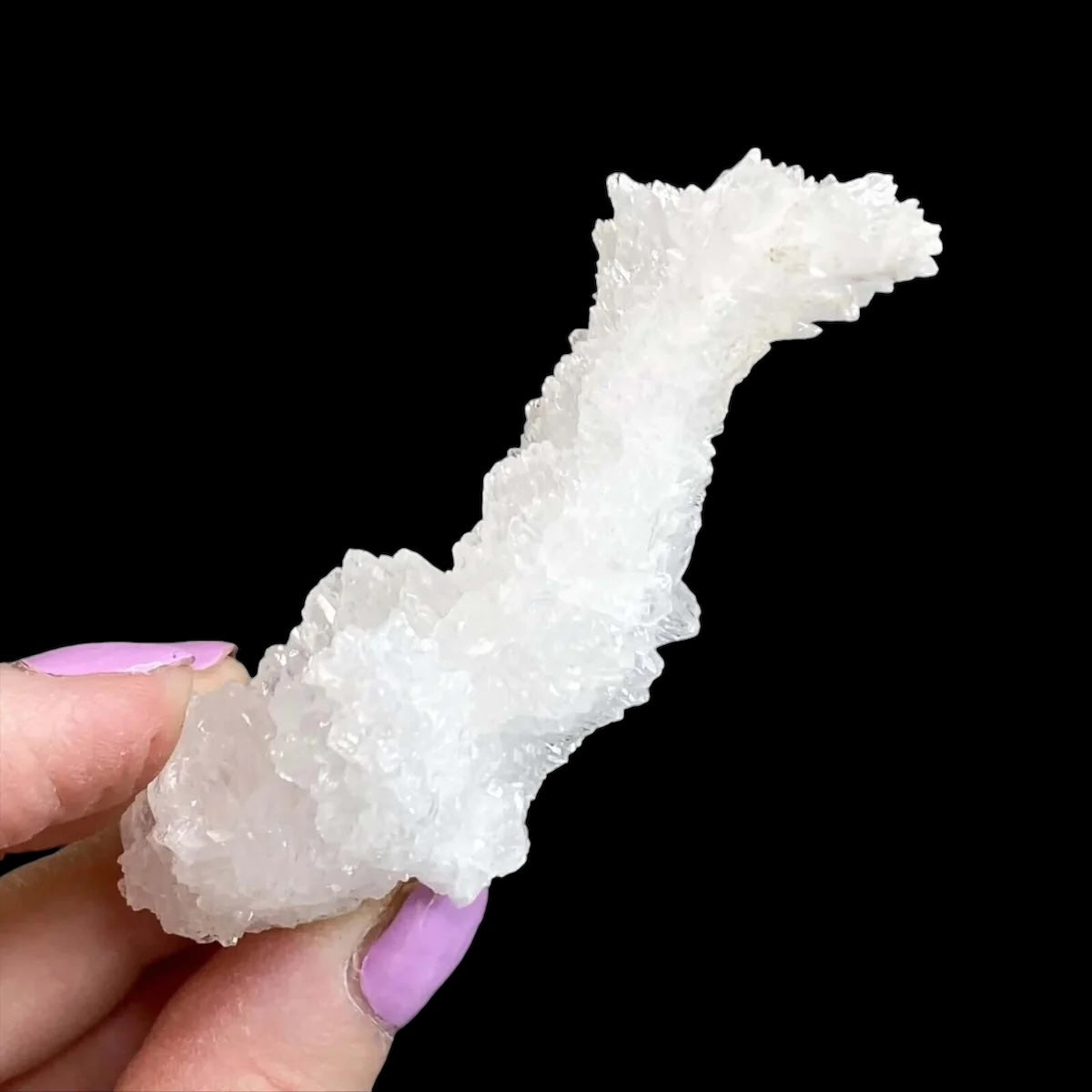 Rare Selenite Stalactite for Clarity and Wellbeing | Stock C Mooncat Crystals