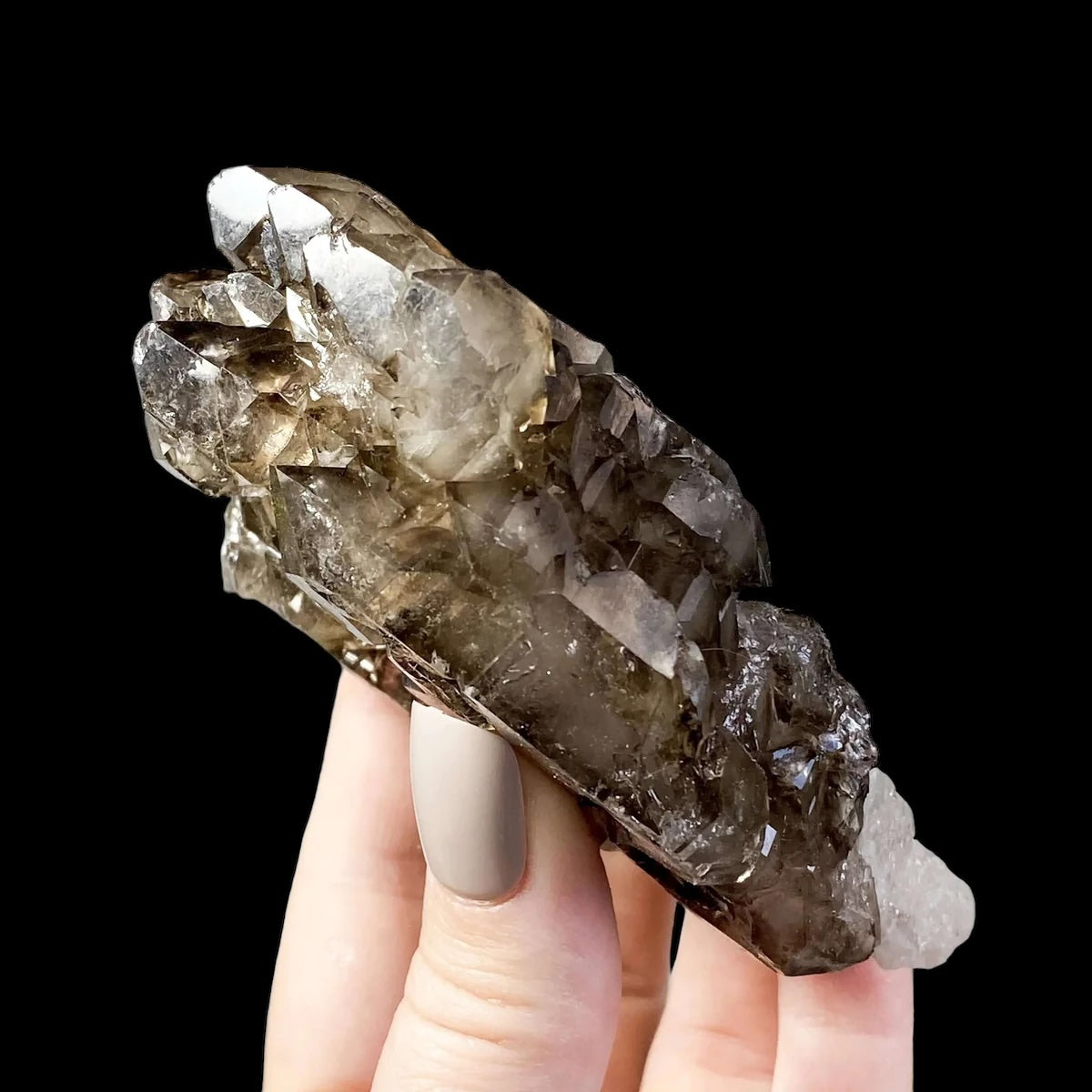 Self-Healed Smoky Elestial Quartz for Transformation and Protection | Stock H Mooncat Crystals