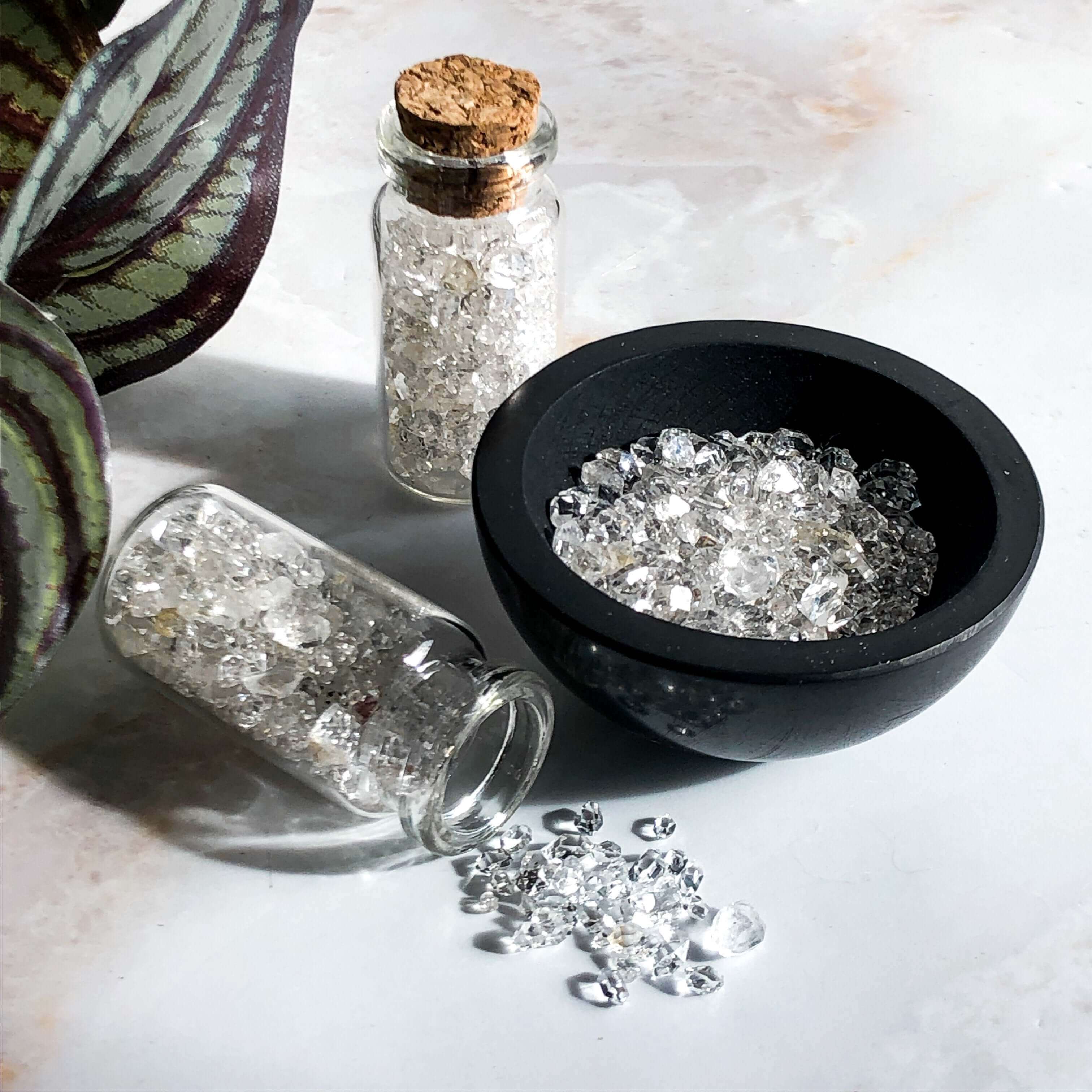 Shungite Bowl + Diamond Quartz Mooncat Crystals