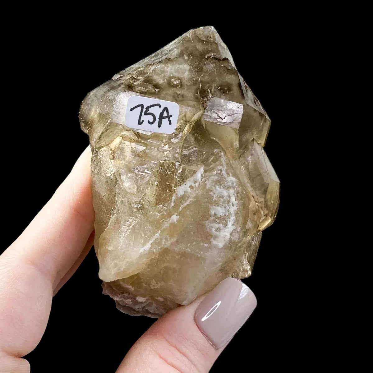 Smoky Elestial Quartz for Transformation and Protection | Stock A Mooncat Crystals