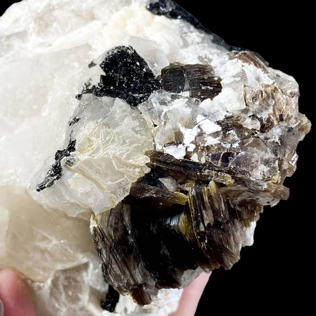 Smoky Elestial Quartz with Mica and Black Tourmaline for Transformation and Protection | Stock G Mooncat Crystals