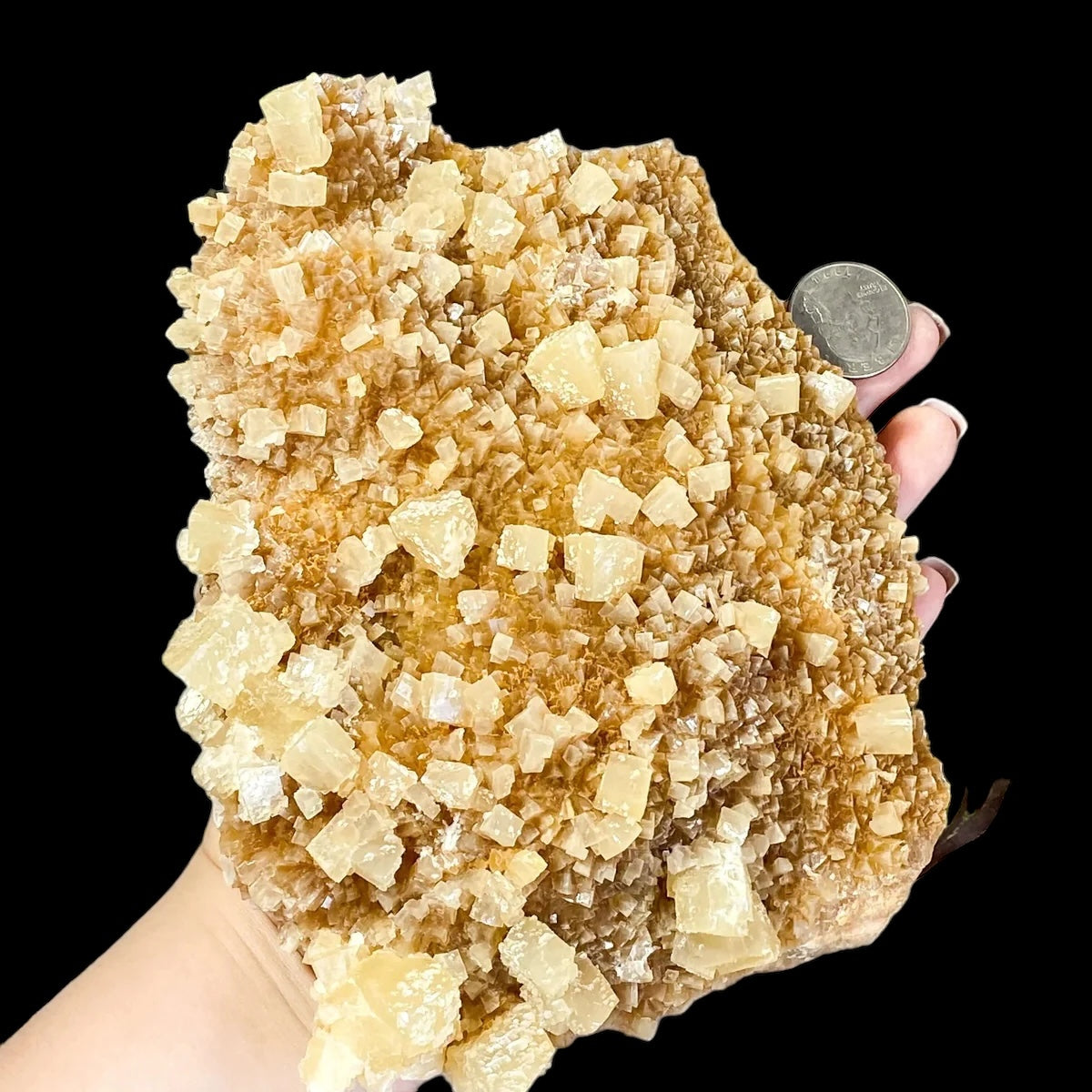 South Dakota Calcite for Grounding and Clarity | Stock B Mooncat Crystals