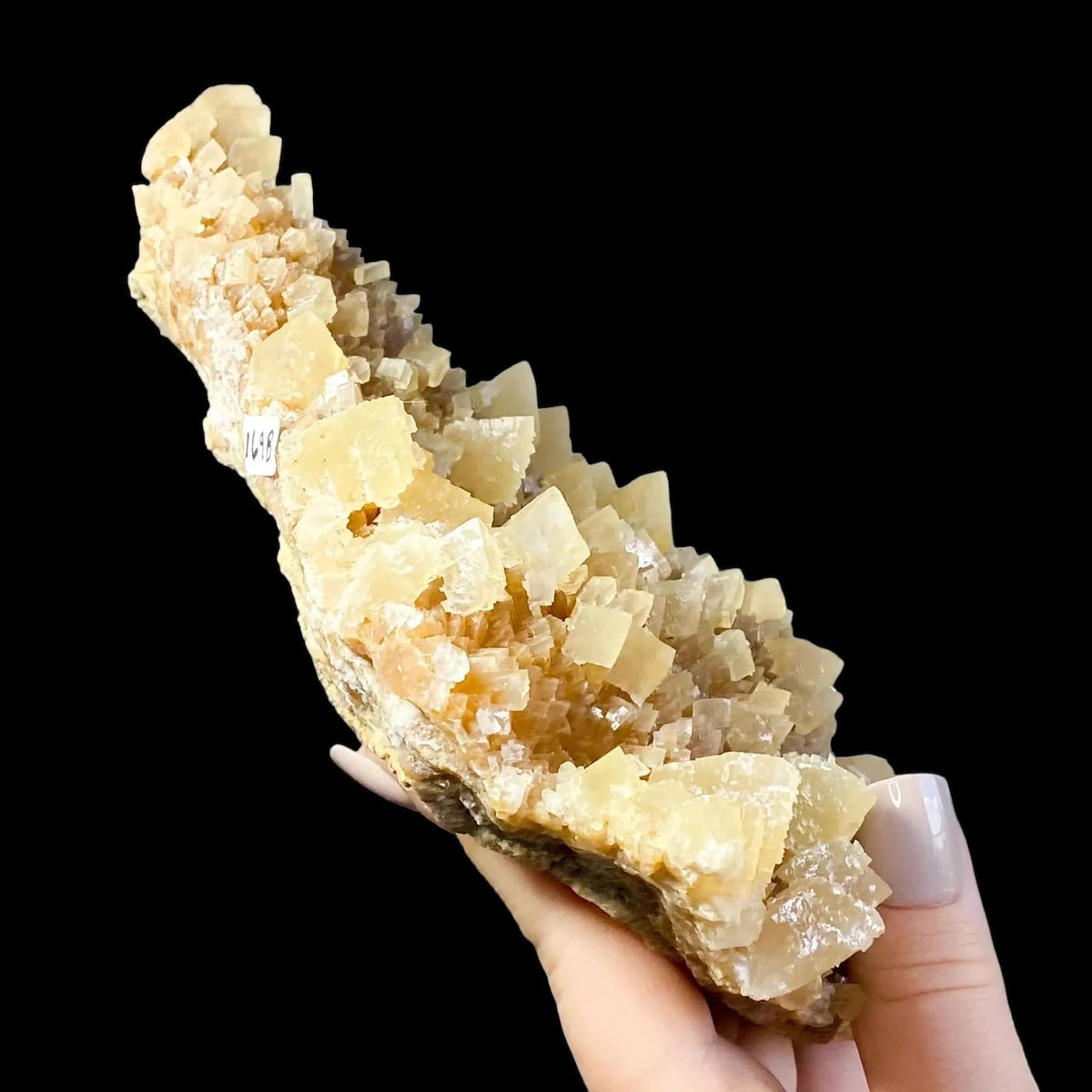 South Dakota Calcite for Grounding and Clarity | Stock B Mooncat Crystals