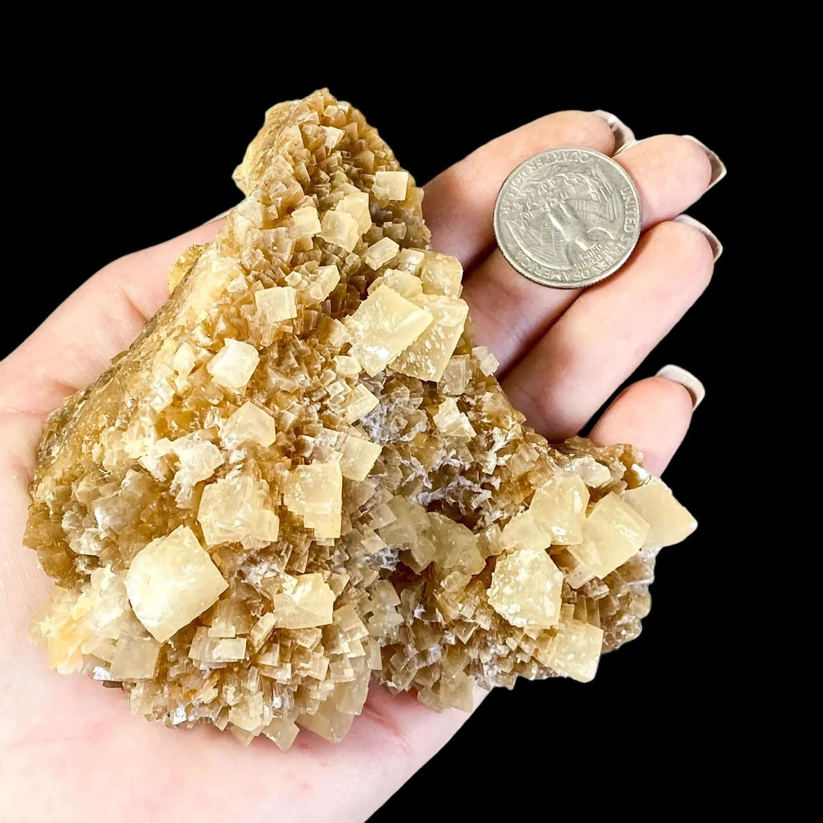 South Dakota Calcite for Grounding and Clarity | Stock C Mooncat Crystals