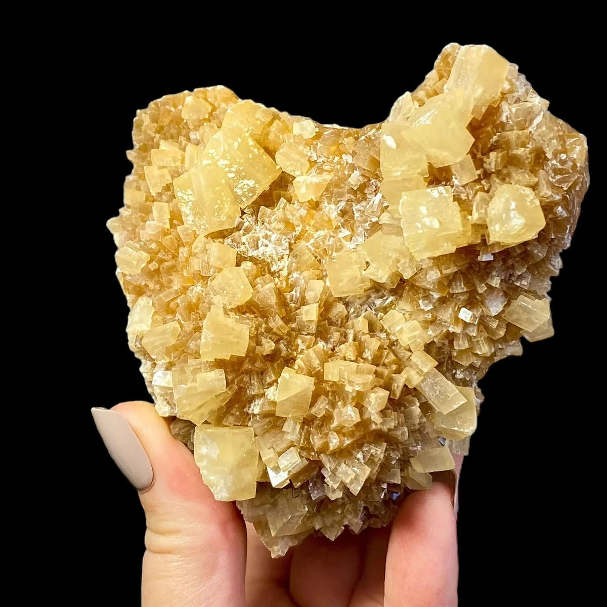 South Dakota Calcite for Grounding and Clarity | Stock C Mooncat Crystals