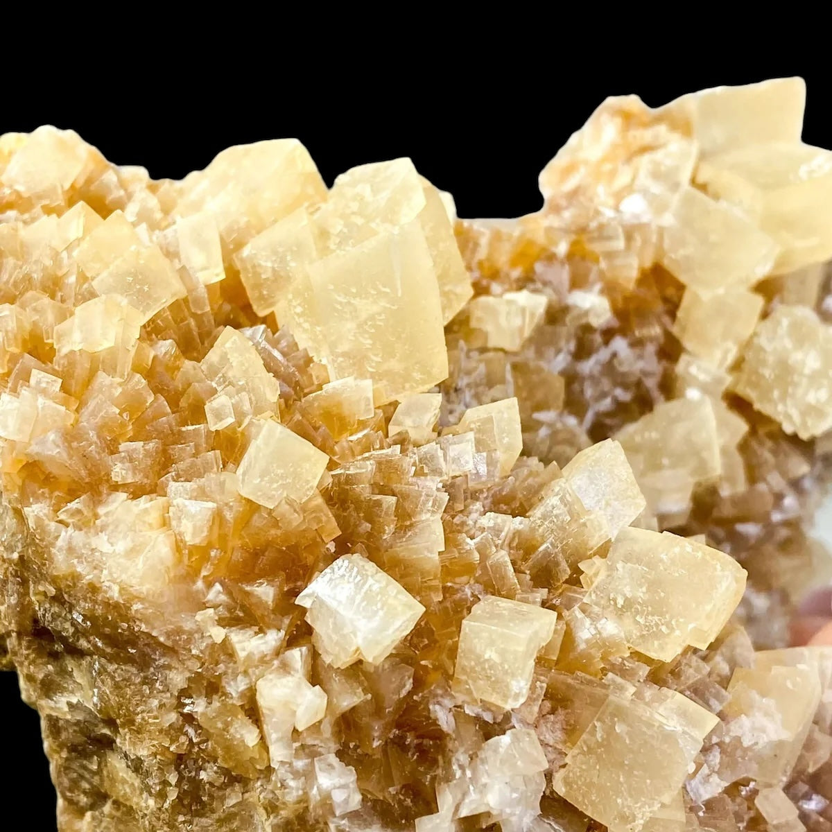 South Dakota Calcite for Grounding and Clarity | Stock C Mooncat Crystals