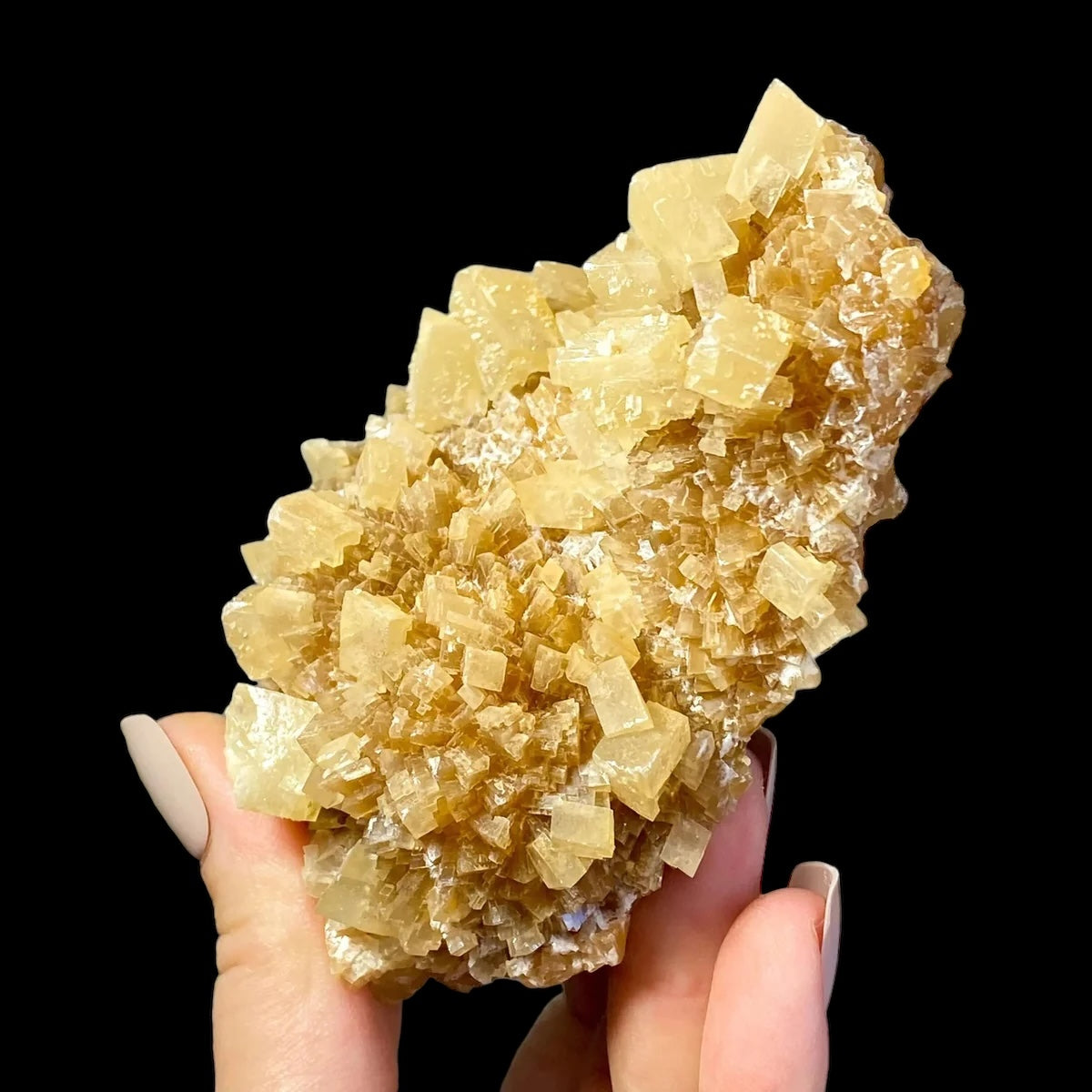 South Dakota Calcite for Grounding and Clarity | Stock C Mooncat Crystals