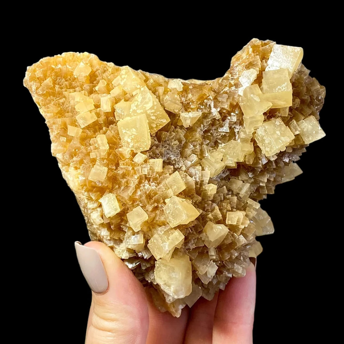 South Dakota Calcite for Grounding and Clarity | Stock C Mooncat Crystals