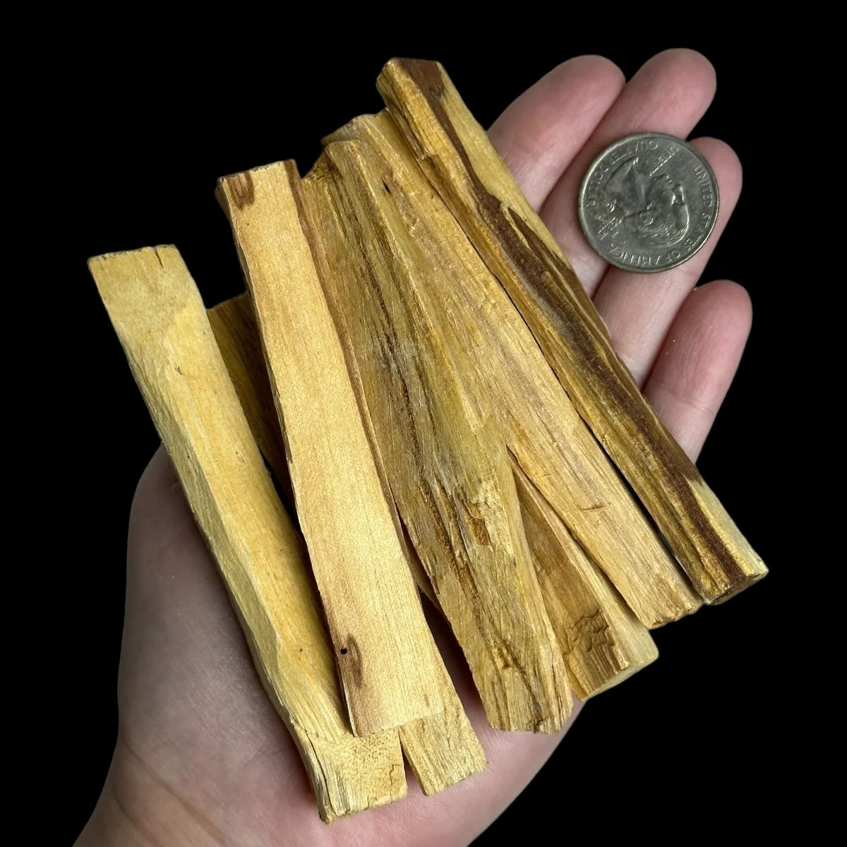 Sustainably Harvested Palo Santo Holy Wood for Cleansing and Spiritual Connection Mooncat Crystals