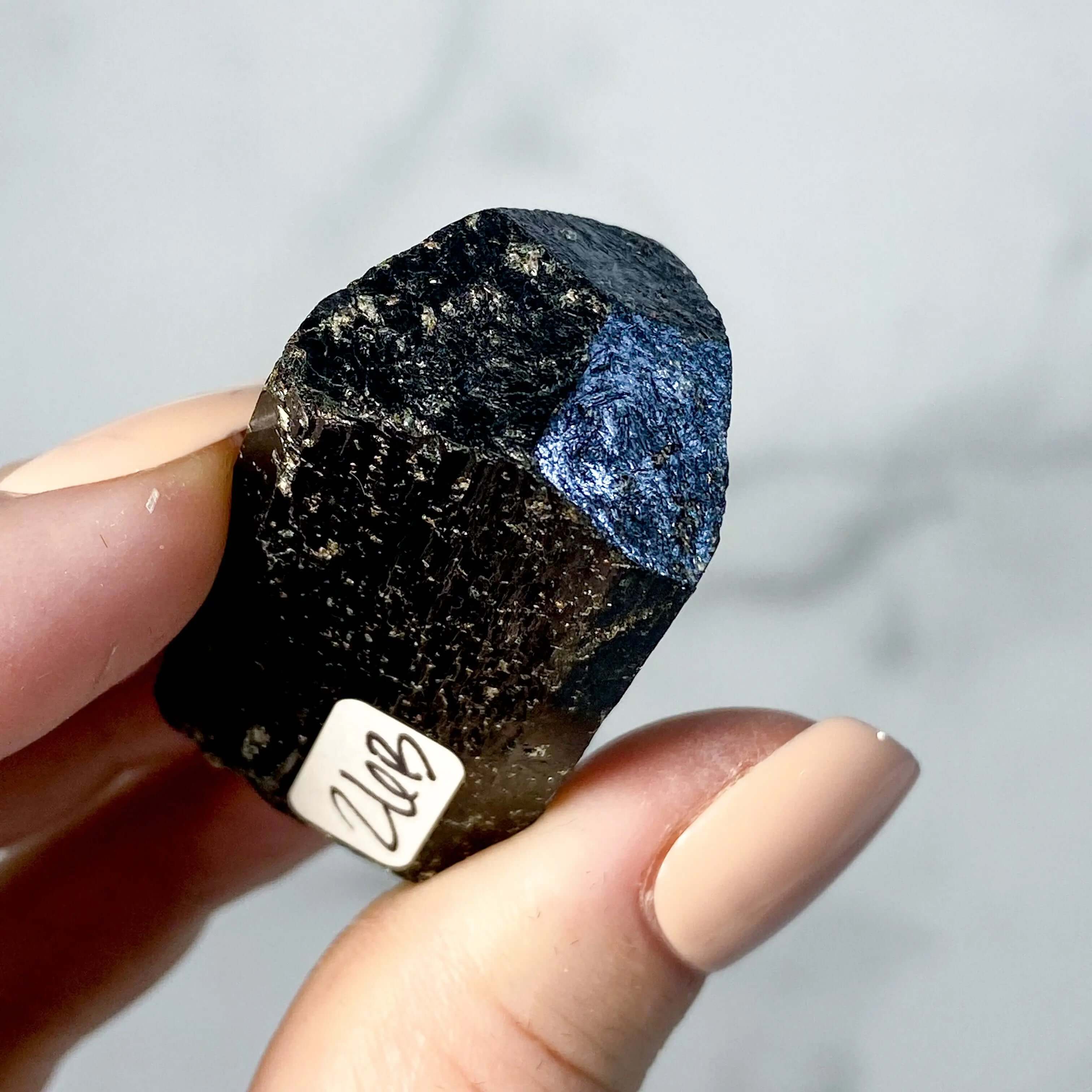 Terminated Black Tourmaline | Stock B Mooncat Crystals
