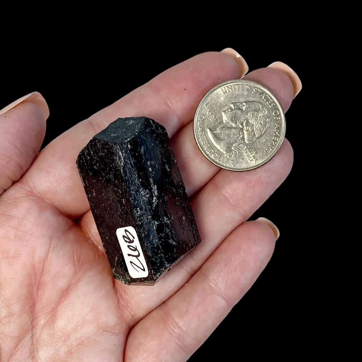 Terminated Black Tourmaline for Protection + Balance | Stock B Mooncat Crystals