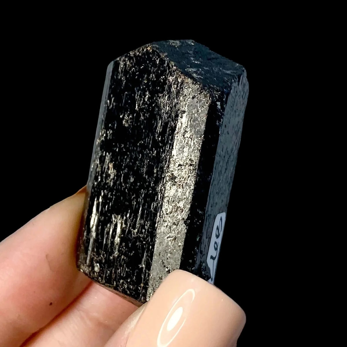 Terminated Black Tourmaline for Protection + Balance | Stock B Mooncat Crystals