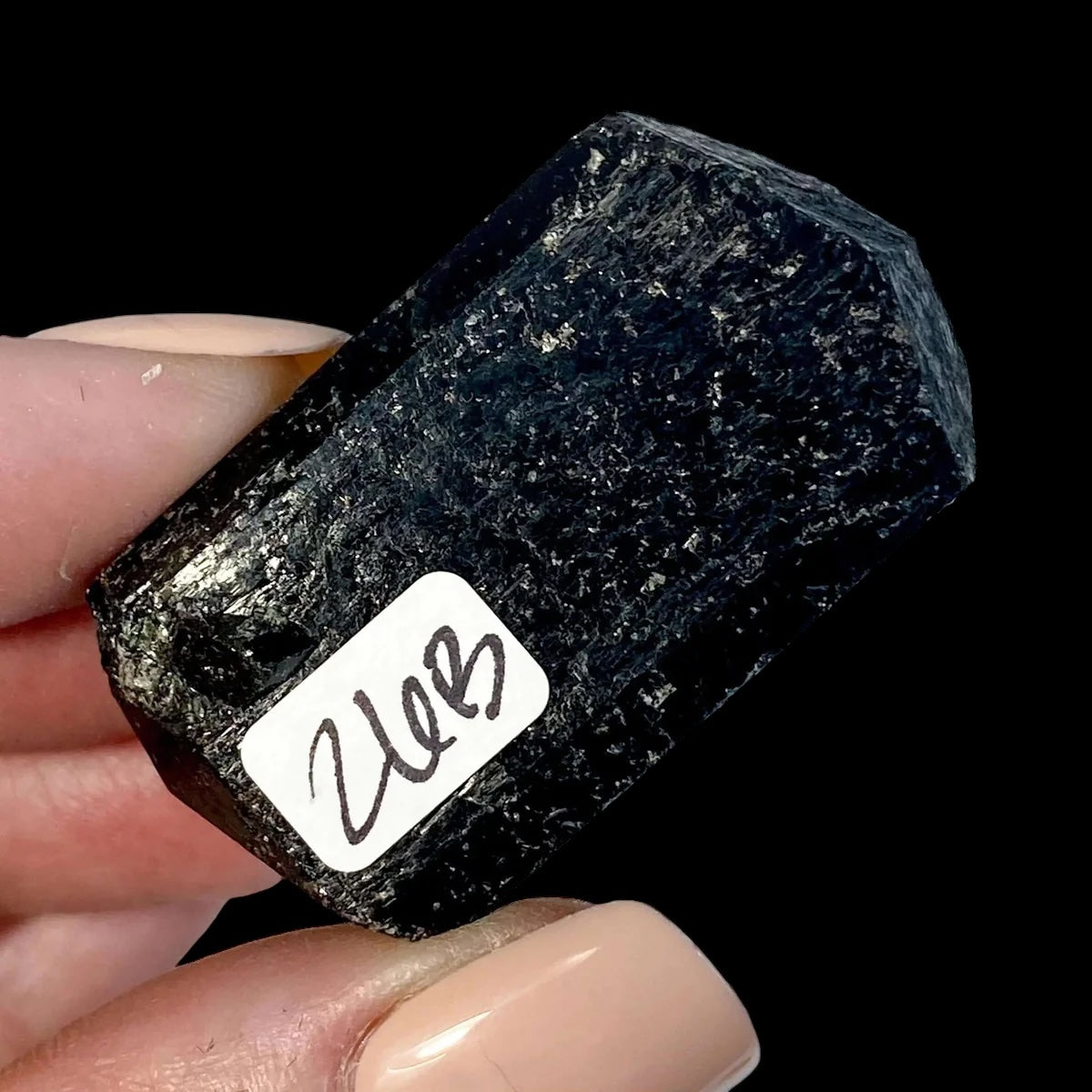 Terminated Black Tourmaline for Protection + Balance | Stock B Mooncat Crystals