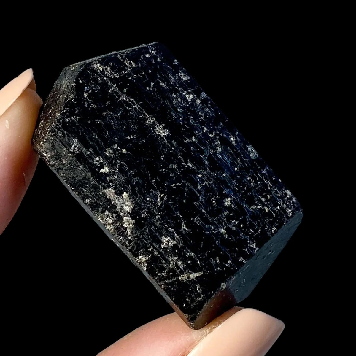 GROUNDING + PROTECTING:: Terminated Black Tourmaline | Stock B