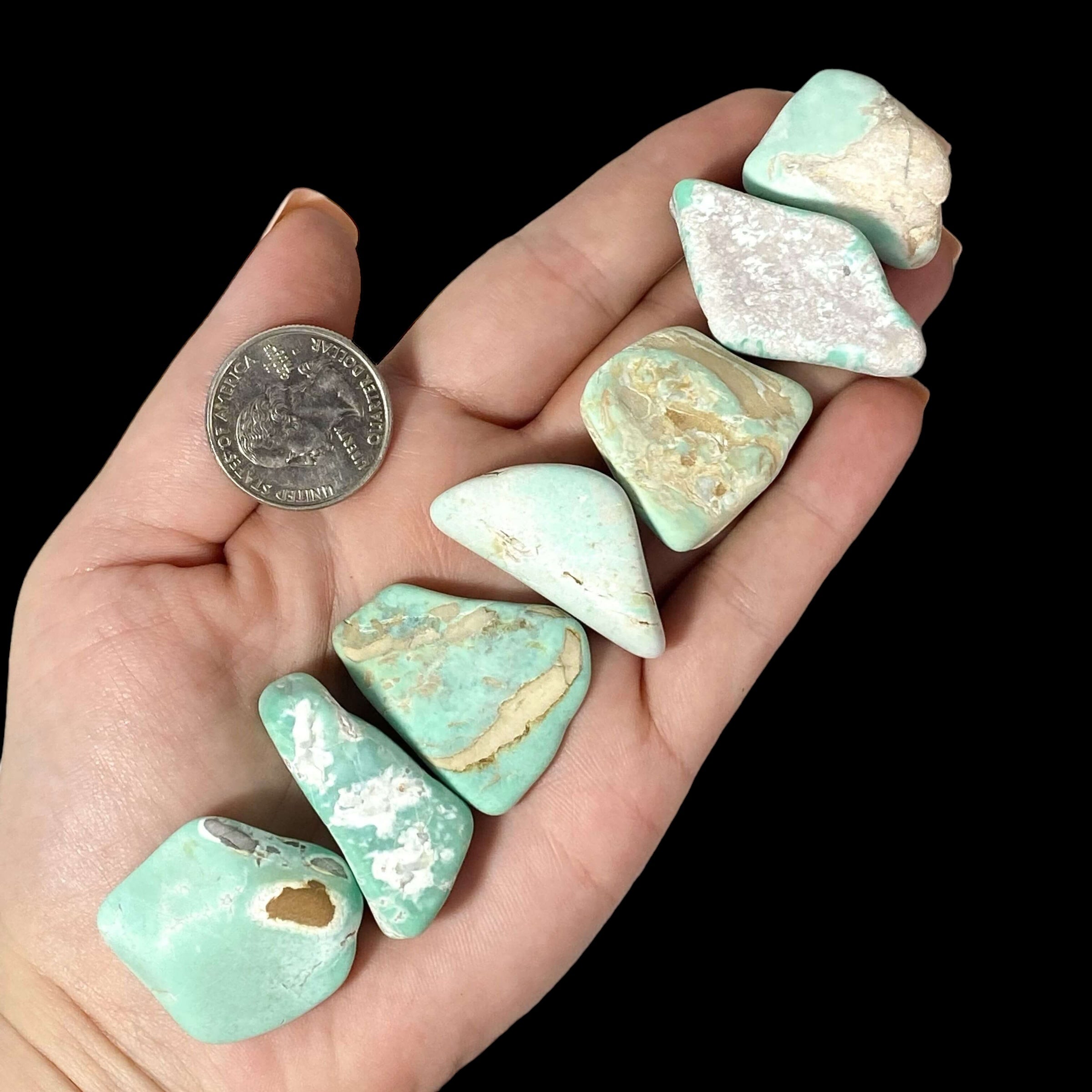 Variscite Tumbles for Inner Peace | 1 Piece Mooncat Crystals