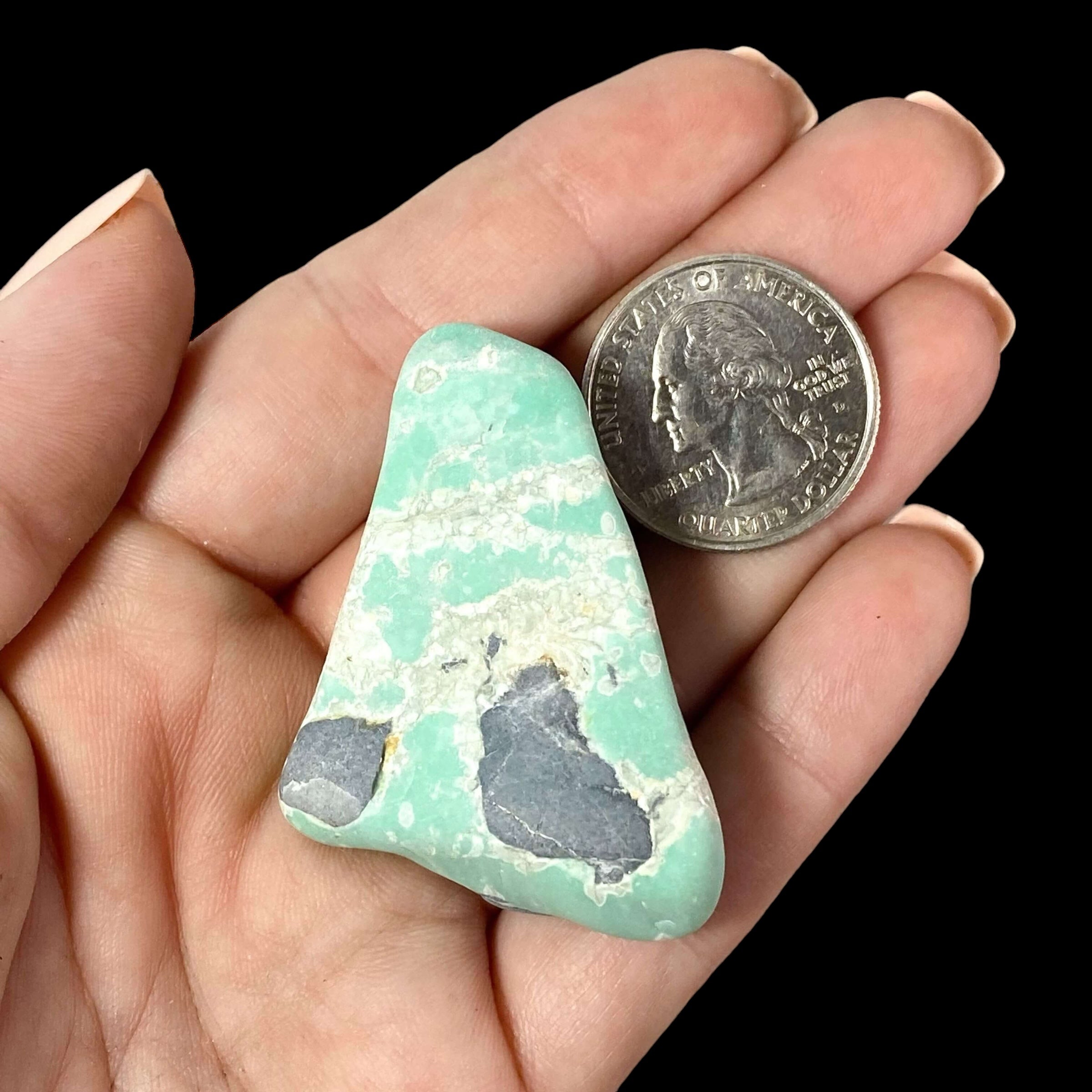 Variscite Tumbles for Inner Peace | 1 Piece Mooncat Crystals