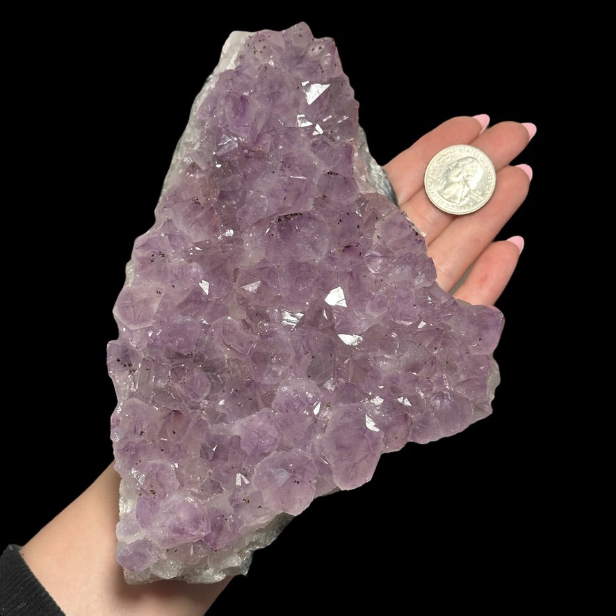 Amethyst Geode - Mooncat Crystals