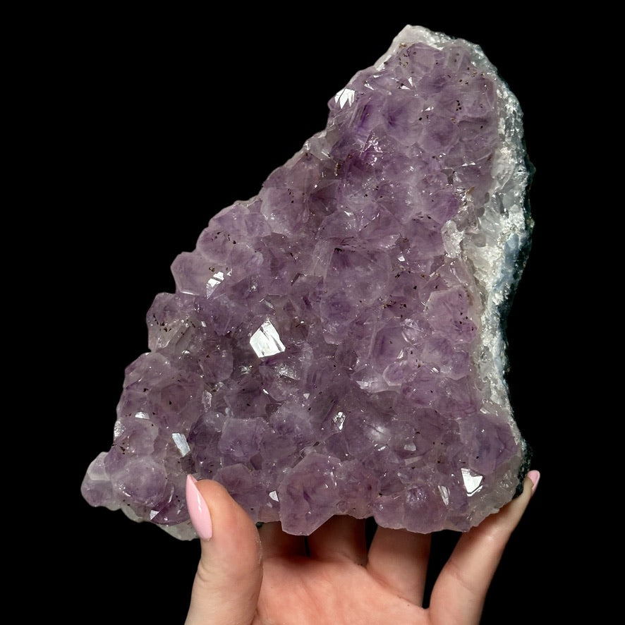 Amethyst Geode - Mooncat Crystals