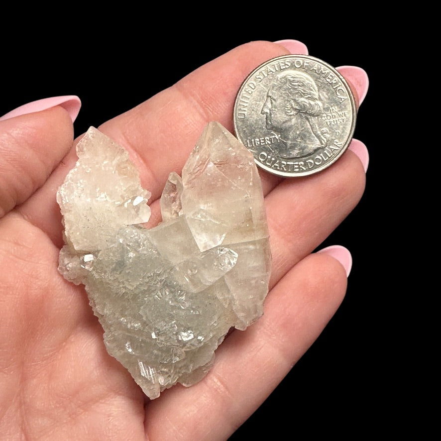 Apophyllite | Stock C - Mooncat Crystals