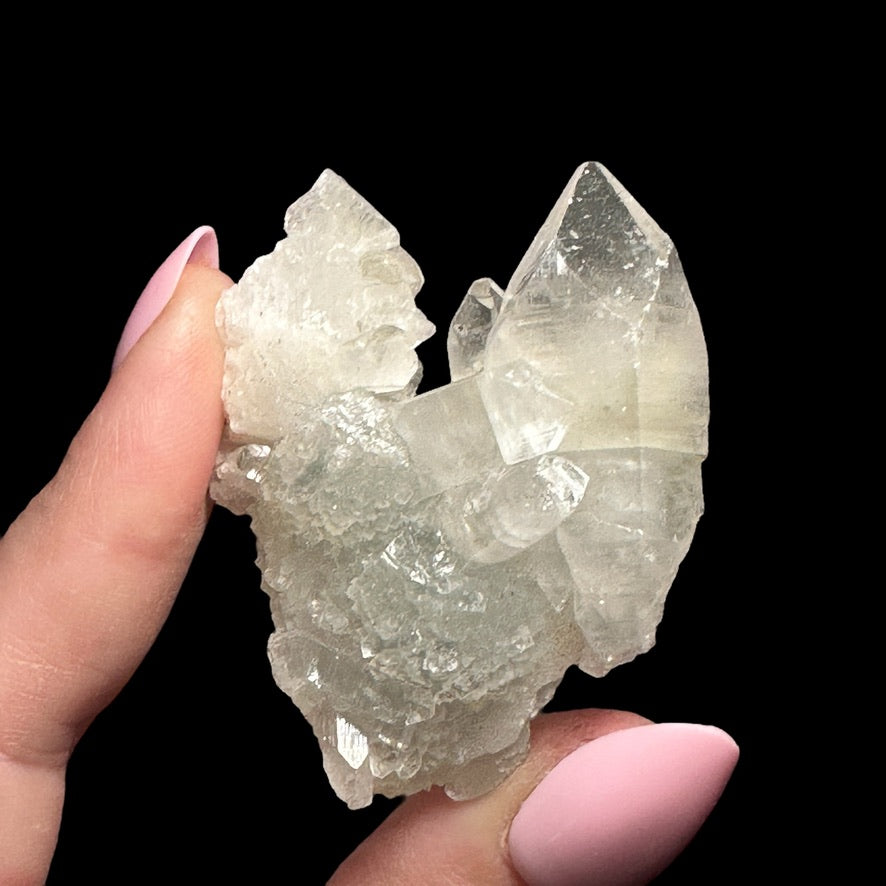 Apophyllite | Stock C - Mooncat Crystals