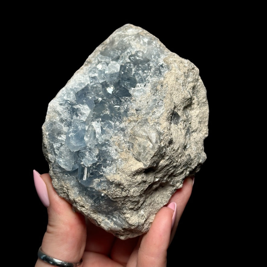 Celestite Geode - Mooncat Crystals