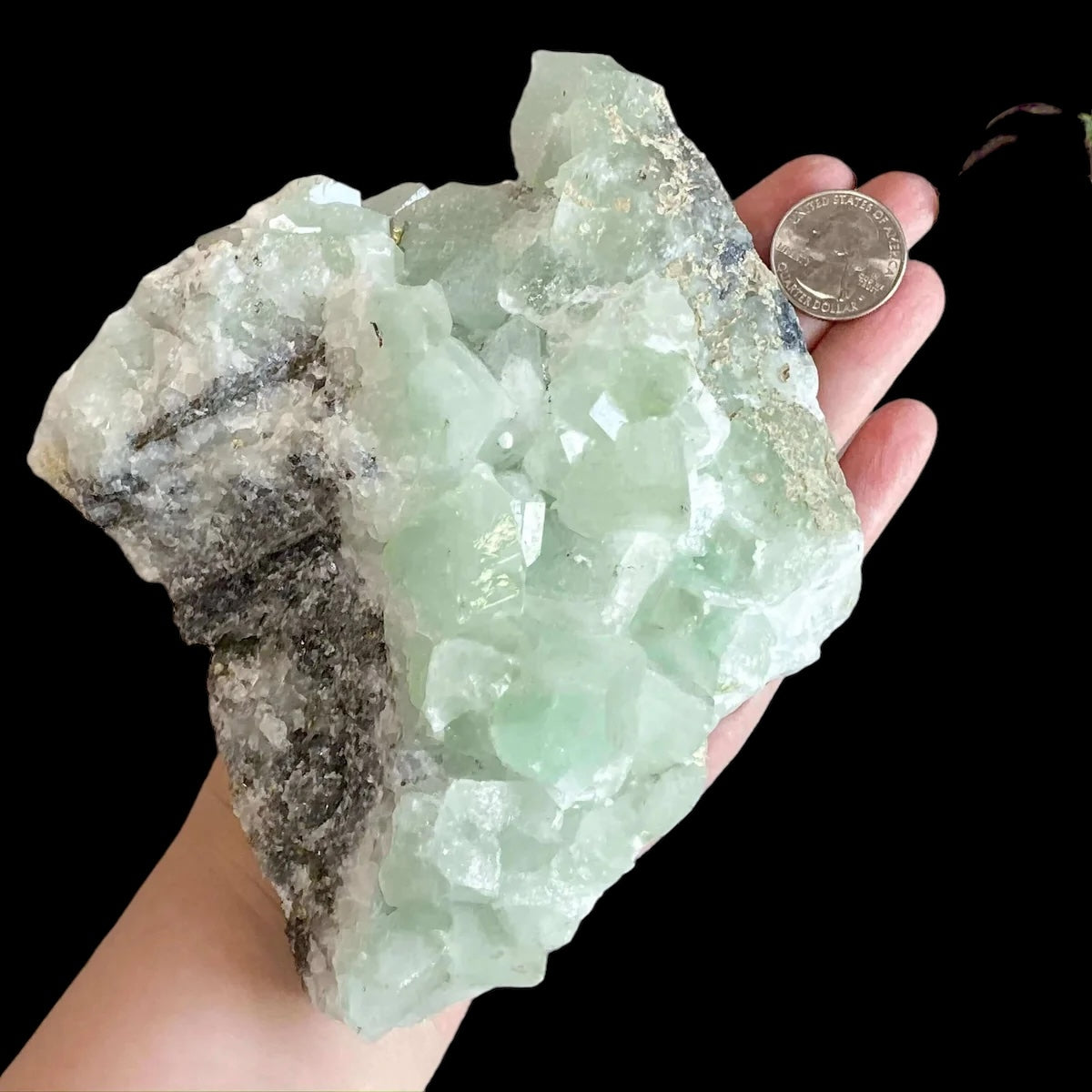 Datolite | Stock D - Mooncat Crystals