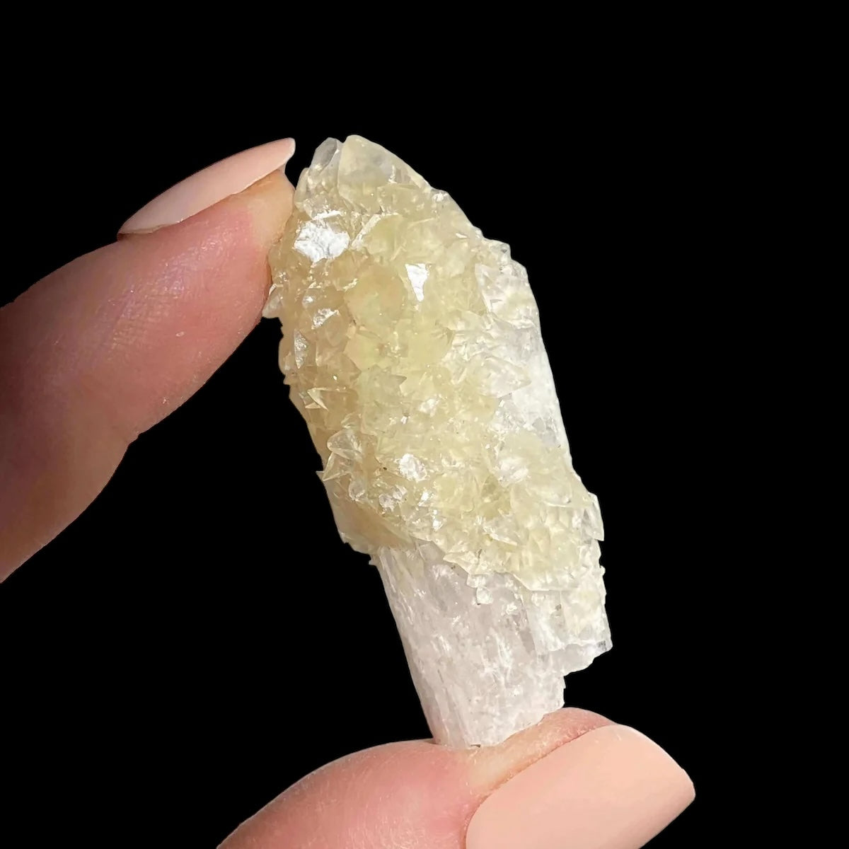 Druzy Pink Danburite with UV-Reactive Calcite | Stock QQ - Mooncat Crystals