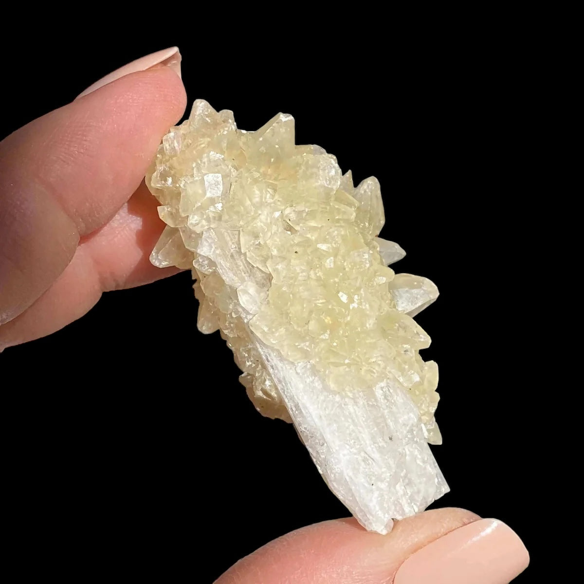 Druzy Pink Danburite with UV-Reactive Calcite | Stock RR - Mooncat Crystals