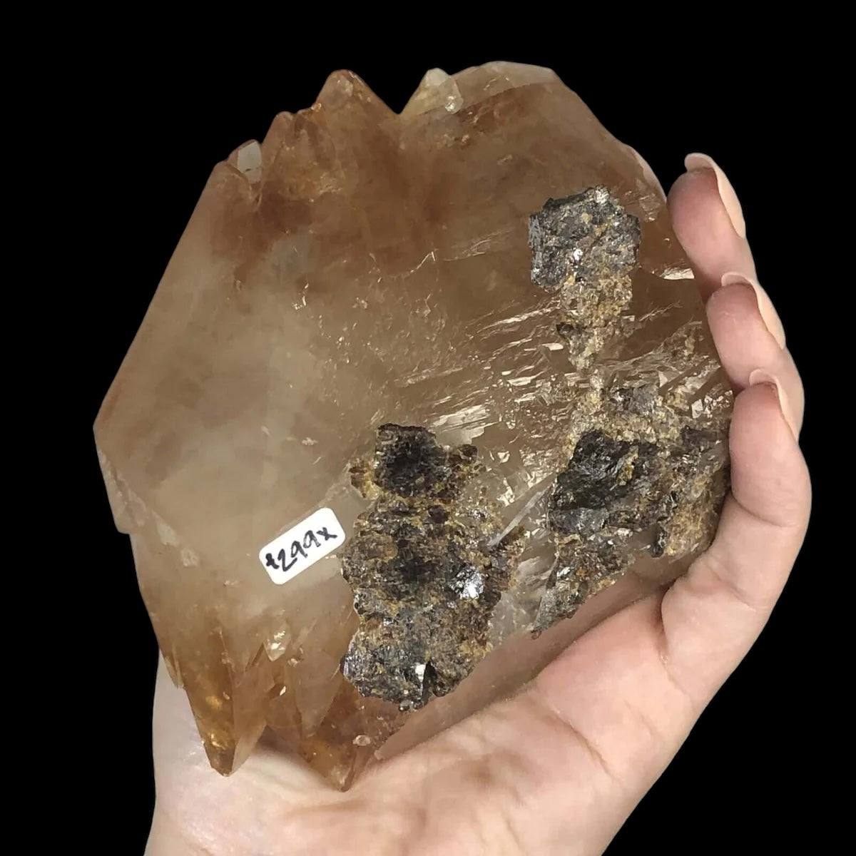 Elmwood “Stellar Beam” Calcite| Stock X - Mooncat Crystals