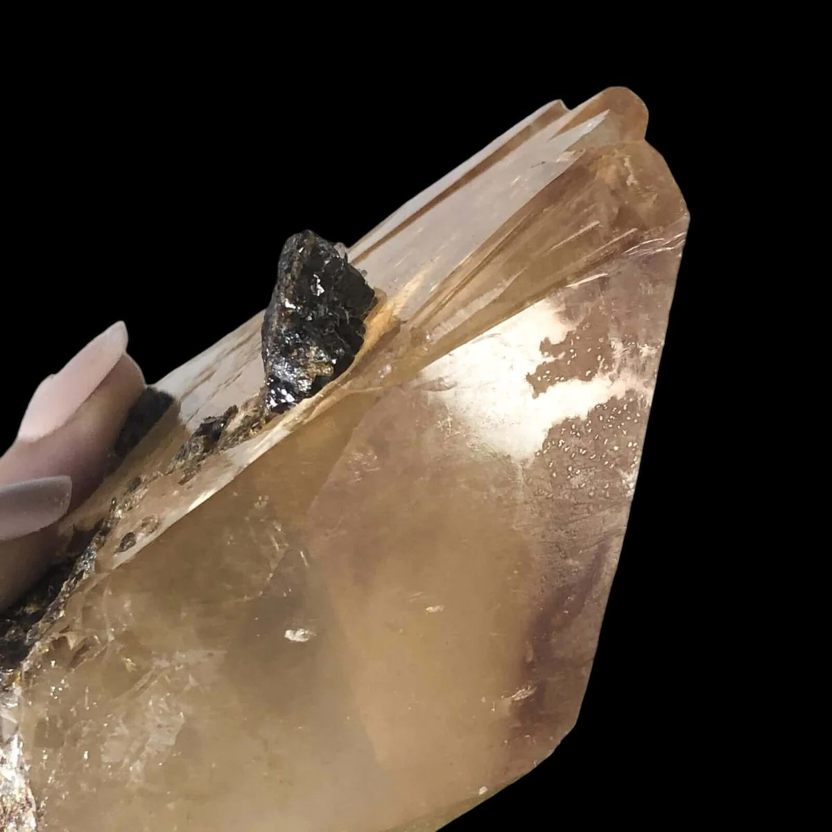 Elmwood “Stellar Beam” Calcite| Stock X - Mooncat Crystals
